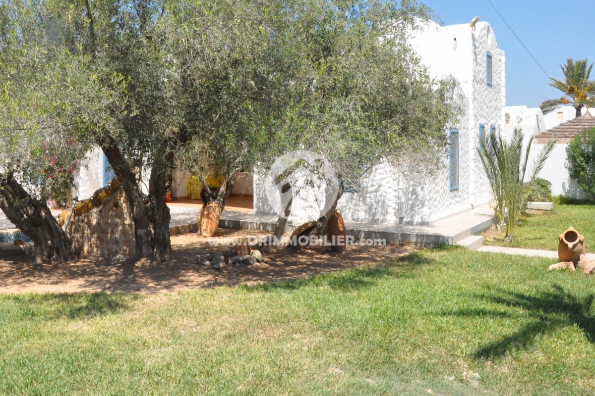 V137 -   Villa avec piscine Djerba