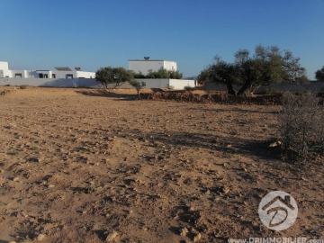  V556 -  Sale  Ground Djerba