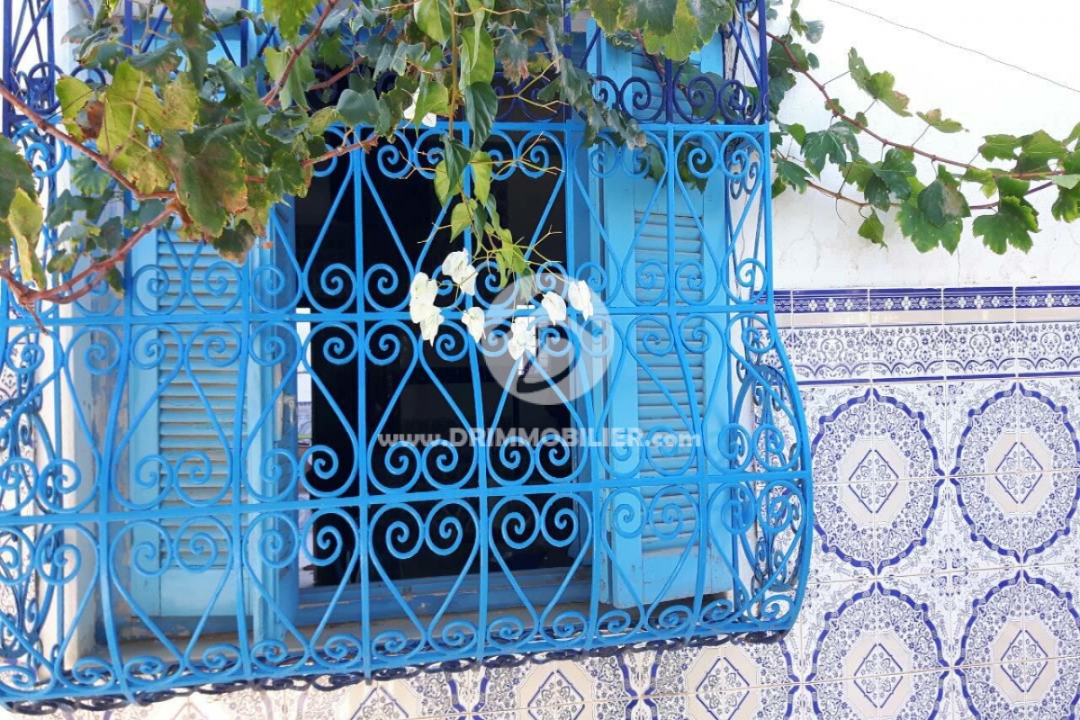 L156 -                            Sale
                           Villa Meublé Djerba