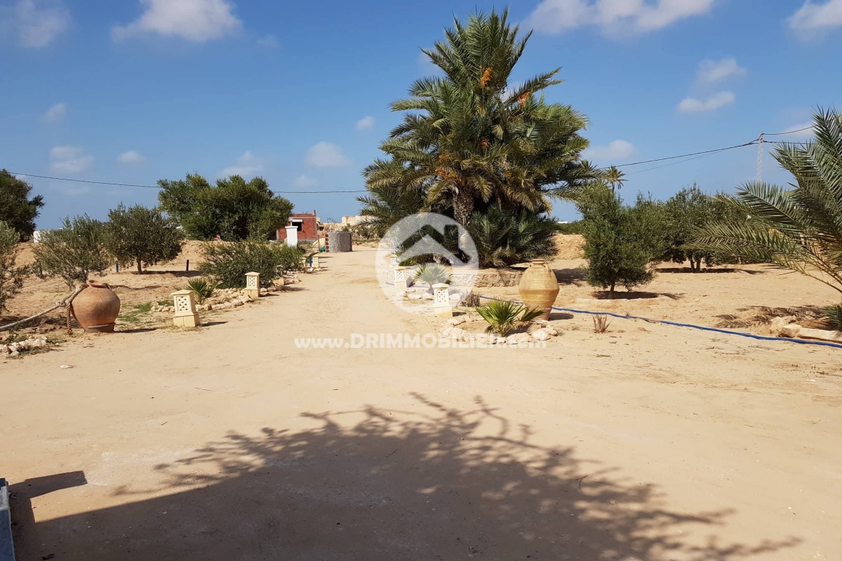 L174 -   Villa avec piscine Djerba