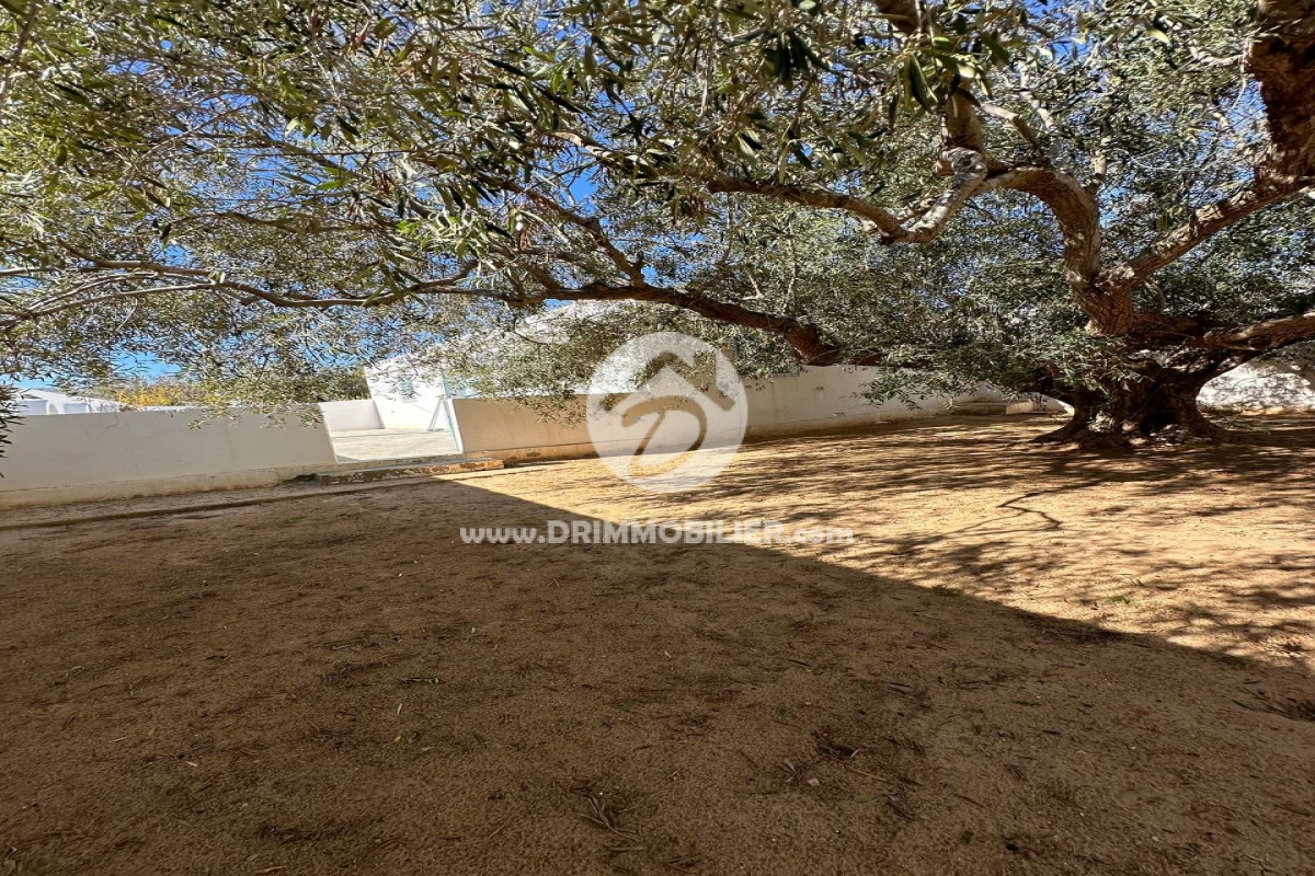 L396 -   Villa Meublé Djerba