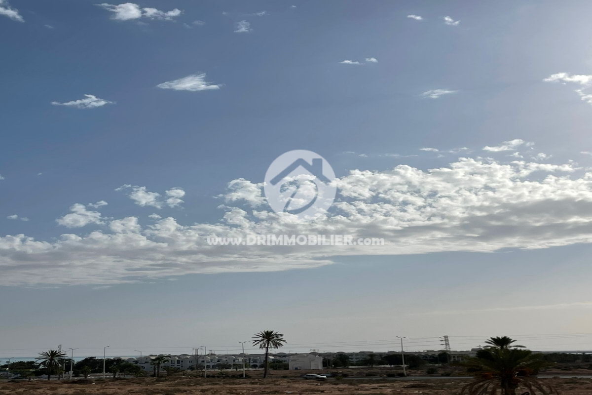 L444 -   Villa avec piscine Djerba