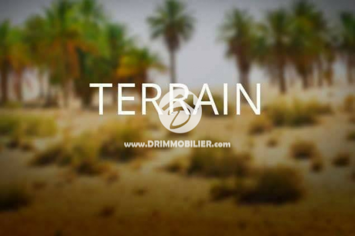 V118 -                            Vente
                           Terrain Djerba