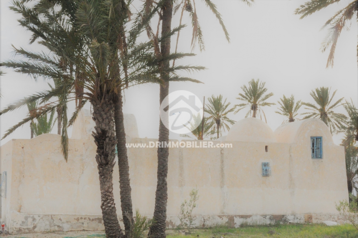 V130 -                            بيع
                           Houch Djerbien Djerba