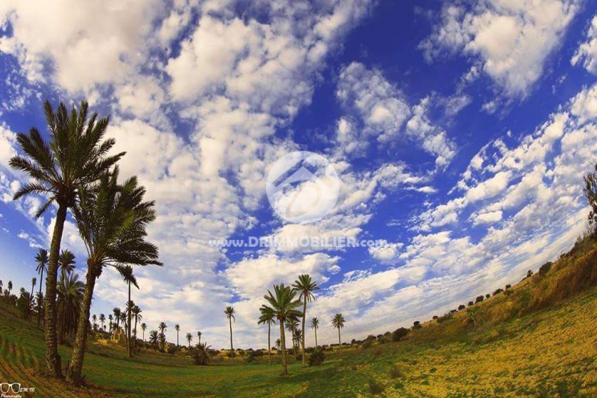 V134 -                            Vente
                           Terrain Djerba