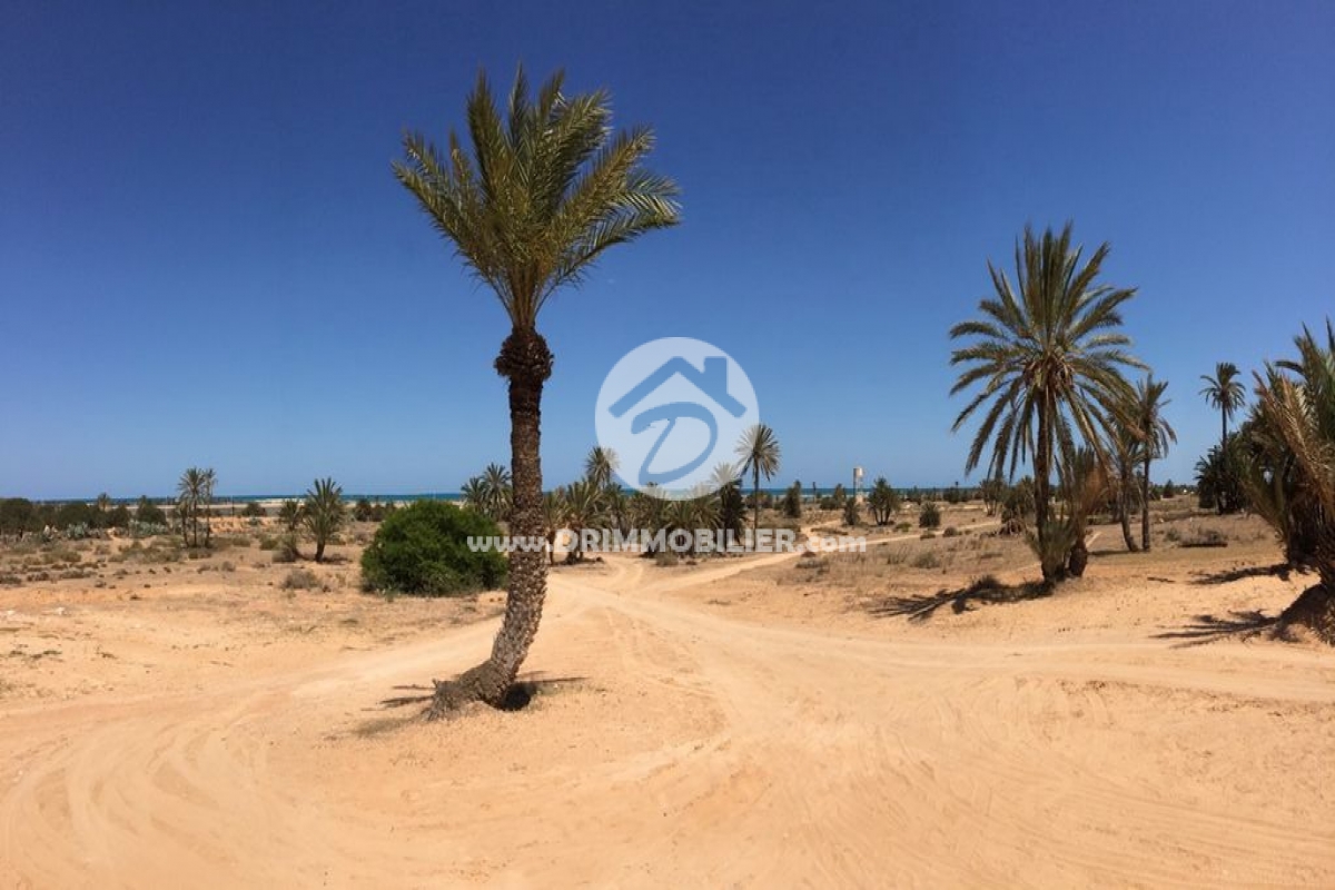 V153 -                            Sale
                           Terrain Djerba