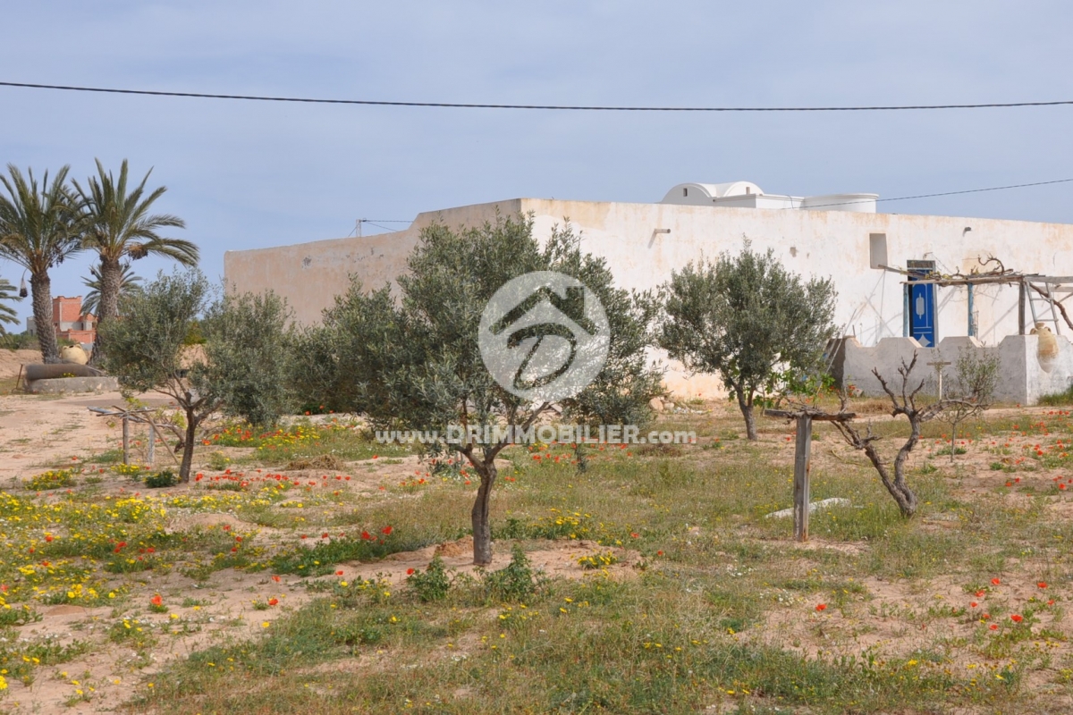 V186 -                            Sale
                           Houch Djerbien Djerba