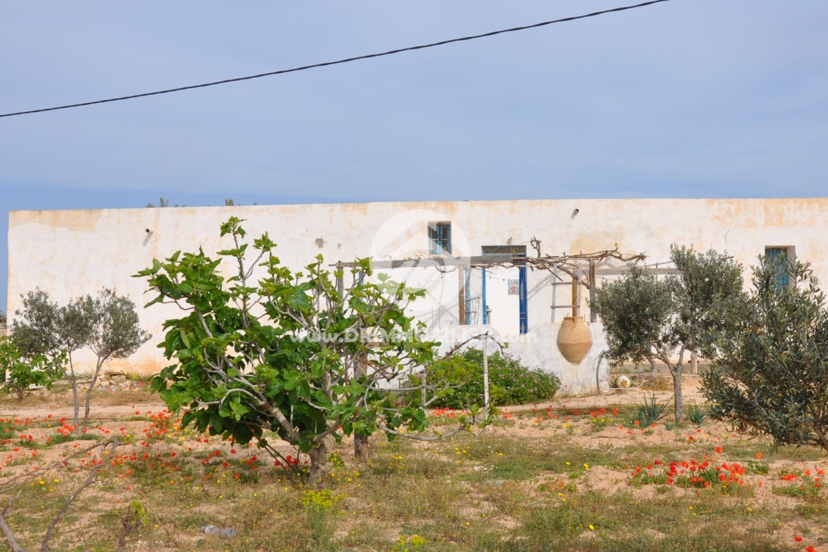 V186 -   Houch Djerbien Djerba