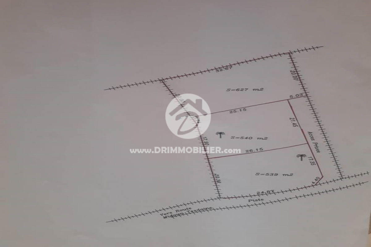 V199 -                            Vente
                           Terrain Djerba