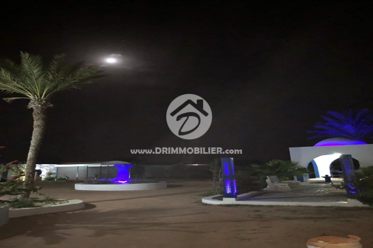 V253 -   Villa avec piscine Djerba