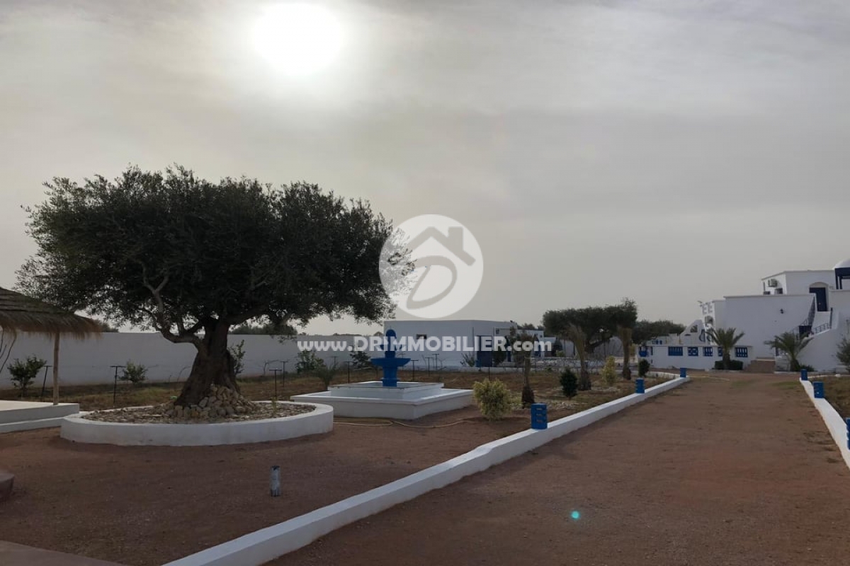 V253 -   Villa avec piscine Djerba