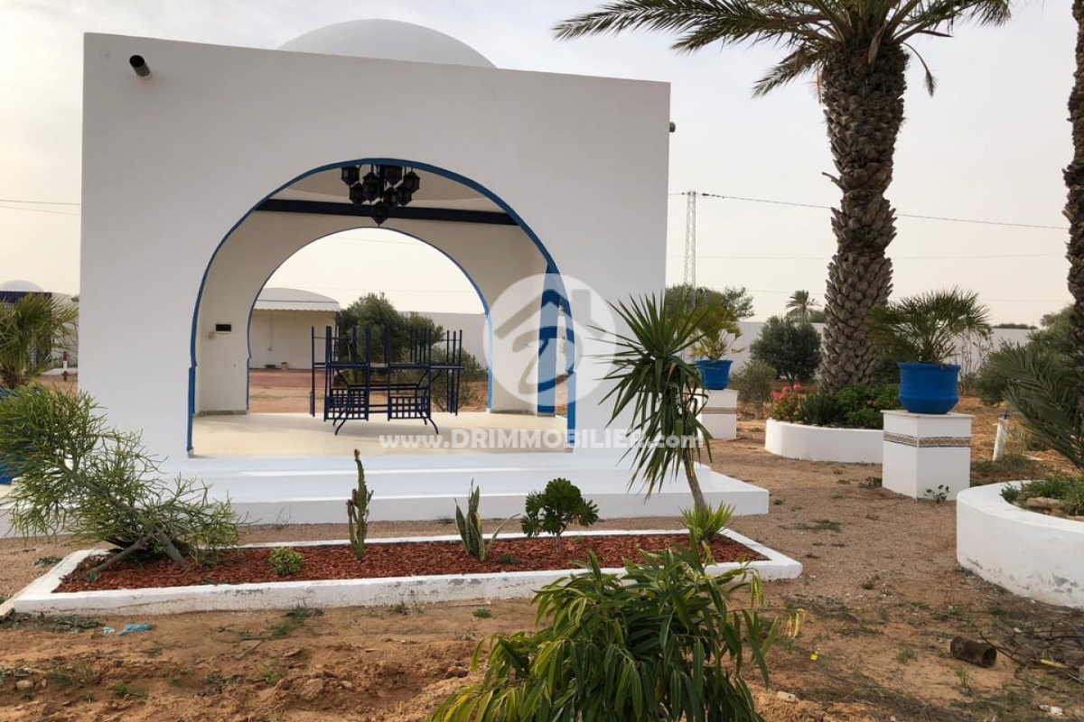 V253 -   Villa avec piscine Djerba