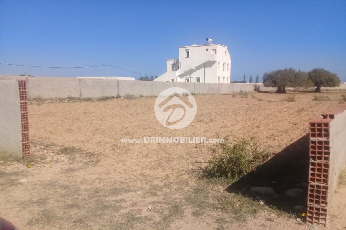 V257 -                            Sale
                           Terrain Djerba