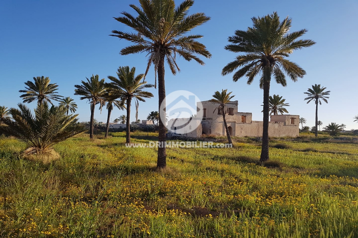 V270 -                            بيع
                           Houch Djerbien Djerba