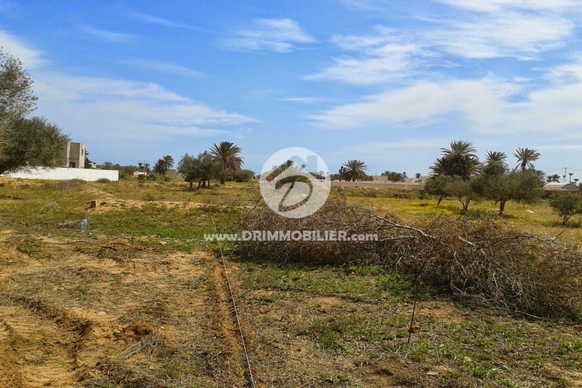 V282 -                            Koupit
                           Terrain Djerba