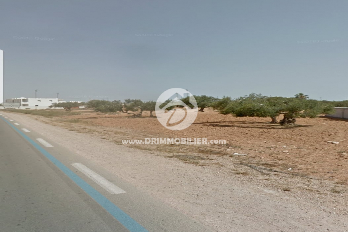 V287 -                            Vente
                           Terrain Djerba