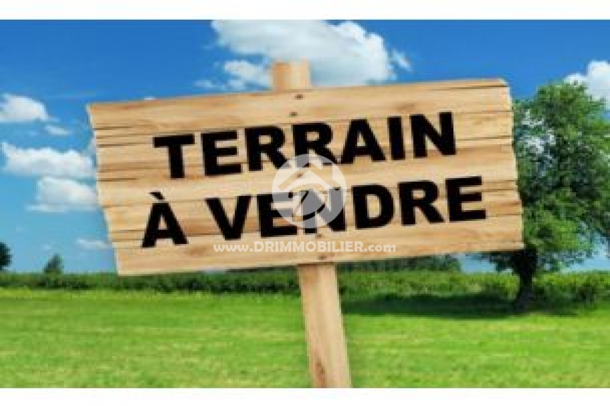 V305 -                            Vente
                           Terrain Djerba