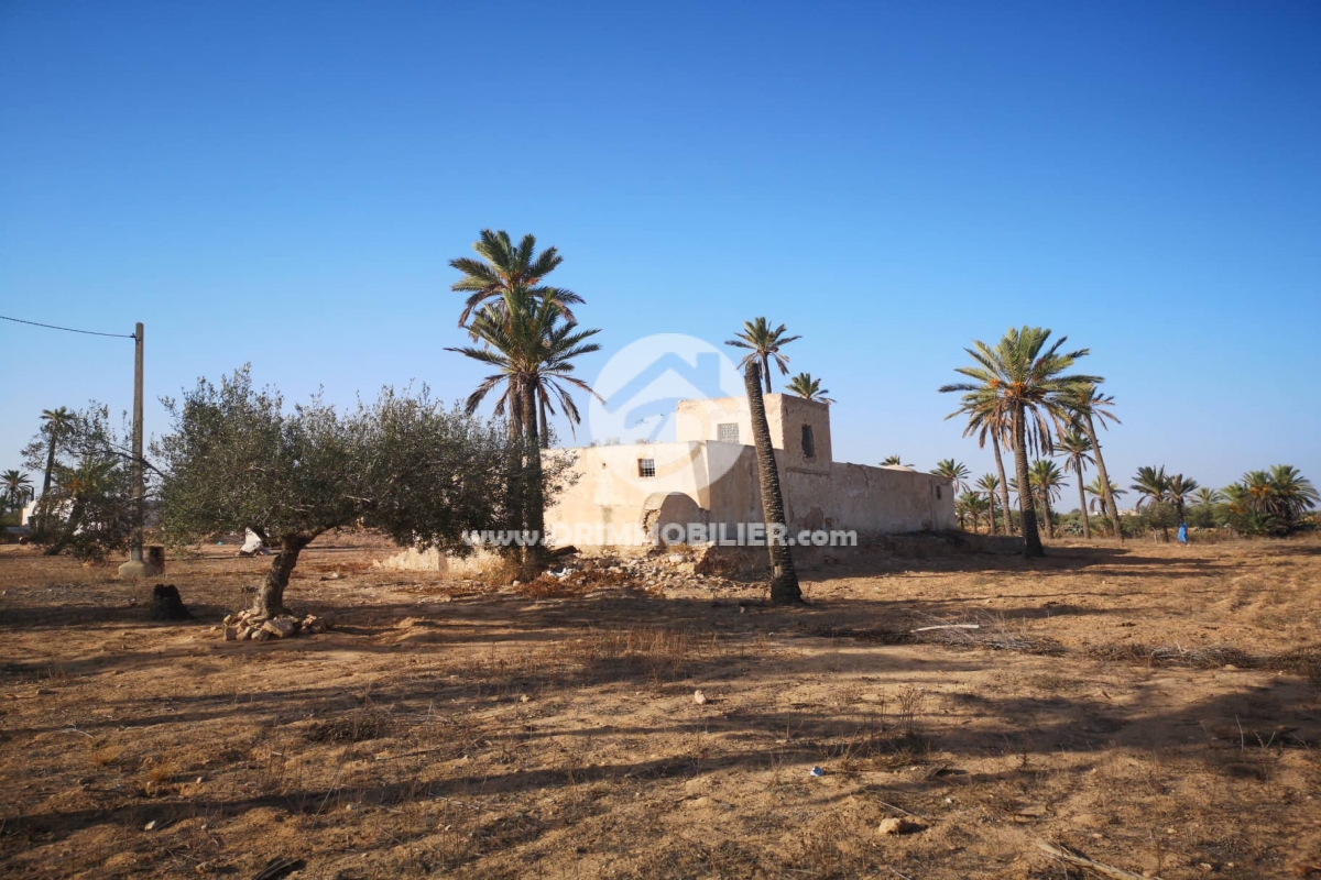 V334 -                            Sale
                           Houch Djerbien Djerba