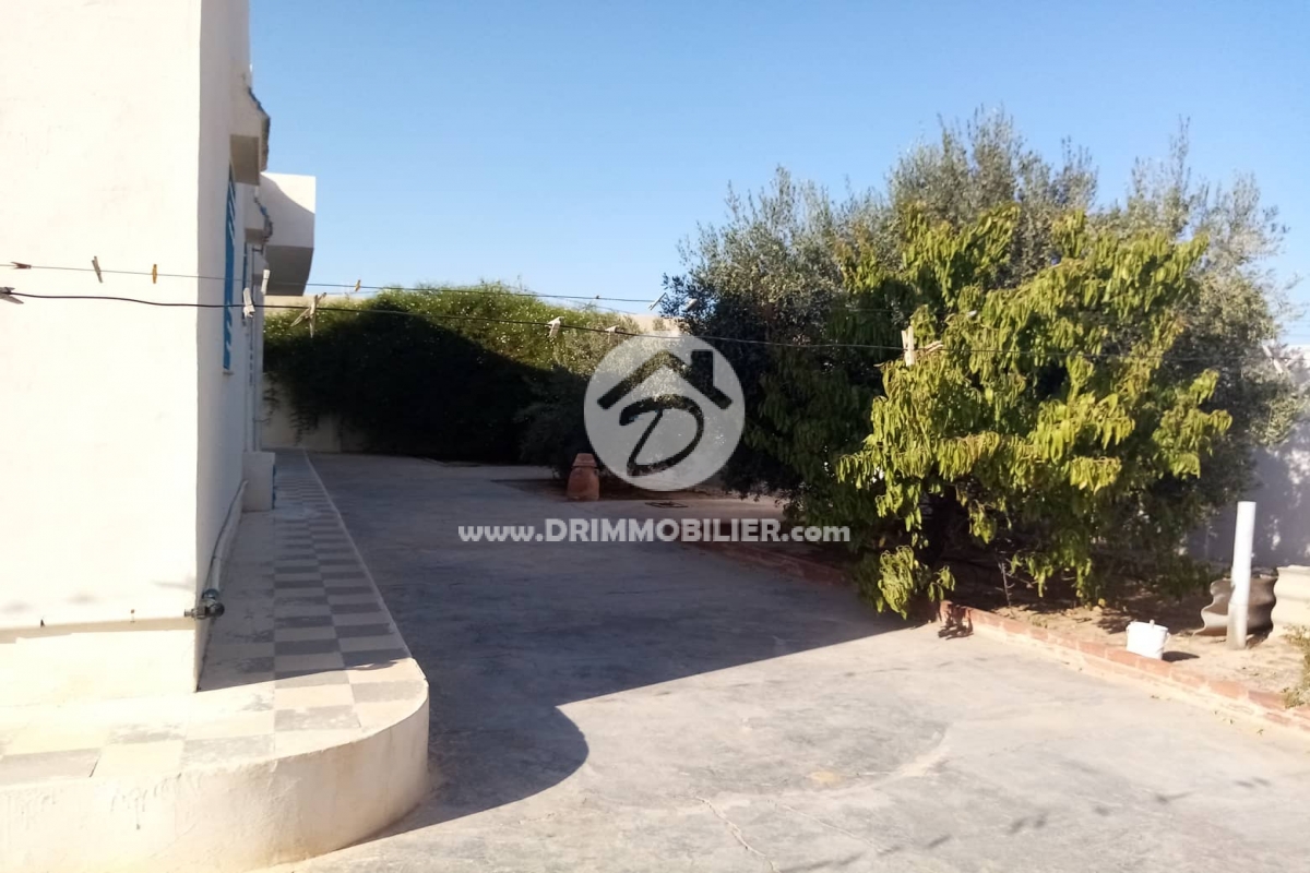 V345 -   Villa Djerba