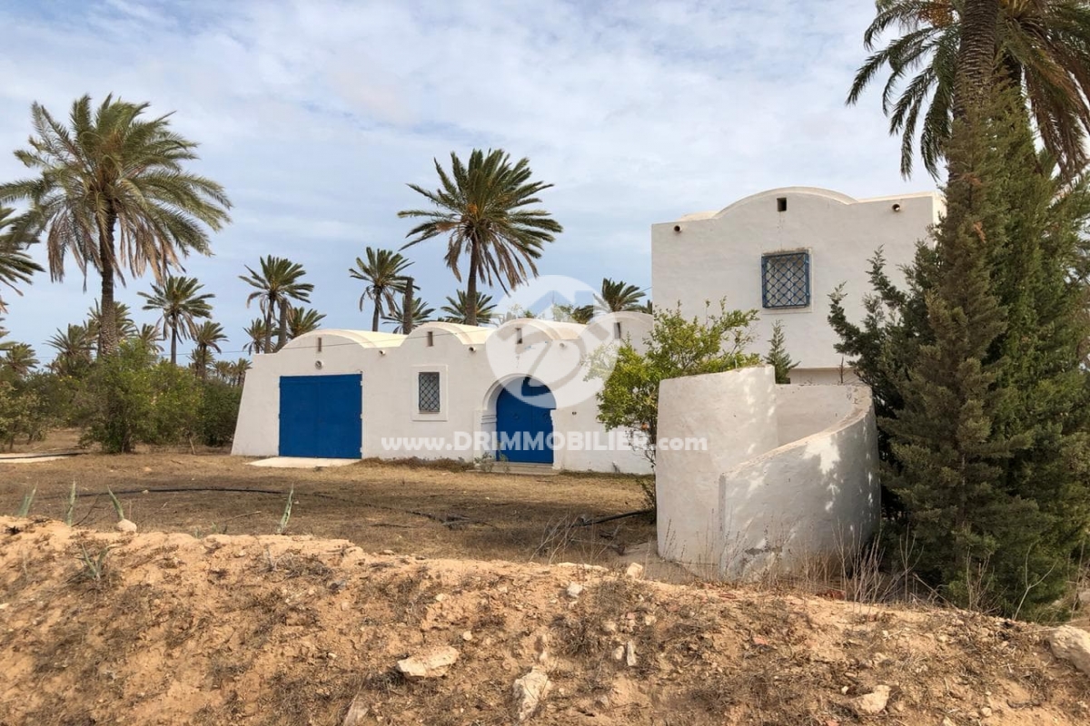 V406 -                            بيع
                           Villa Djerba