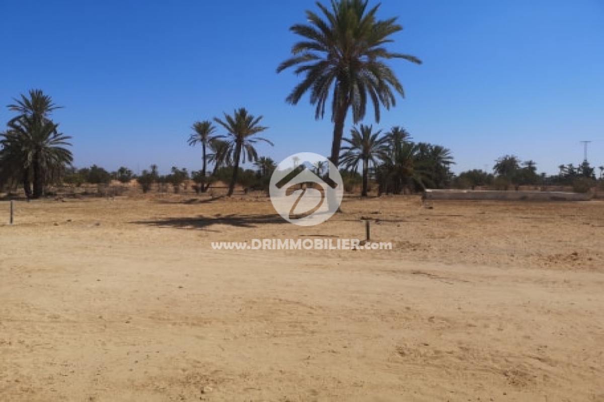 V413 -                            Sale
                           Terrain Djerba