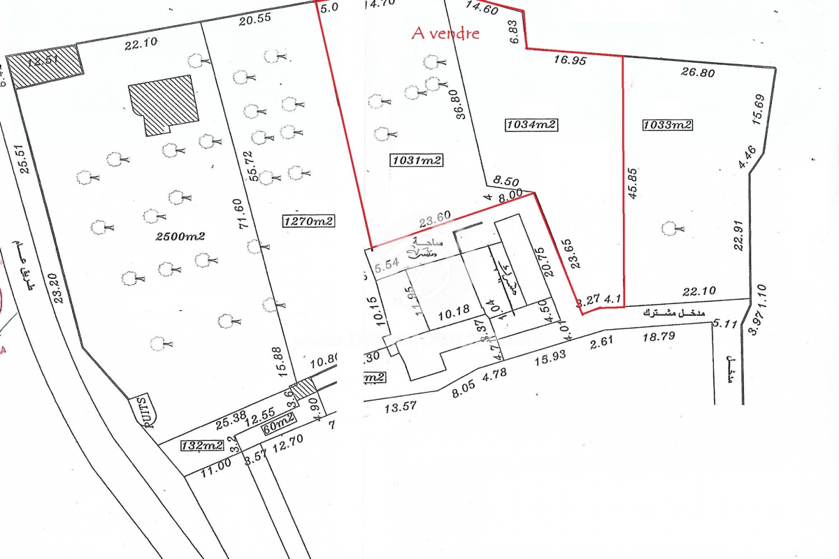 V420 -                            Vente
                           Terrain Djerba