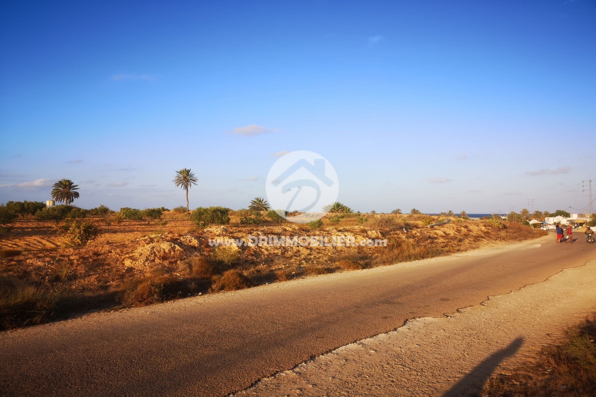 V422 -                            Vente
                           Terrain Djerba