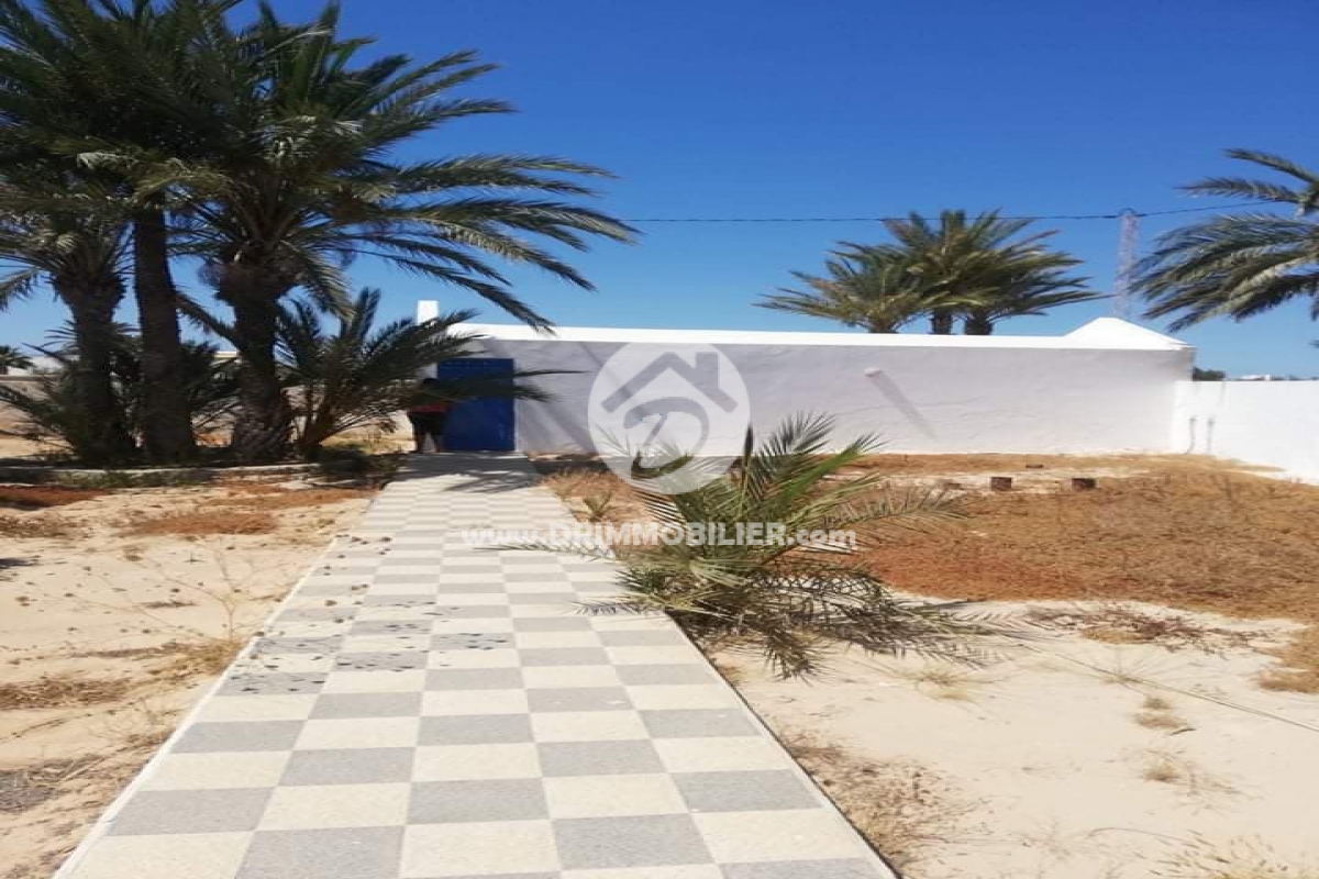 V429 -   Villa Djerba