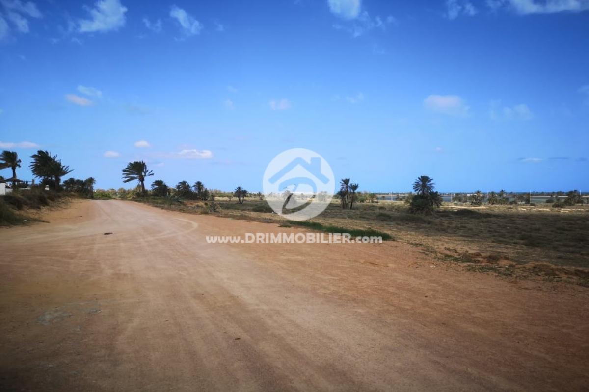 V449 -                            Koupit
                           Terrain Djerba