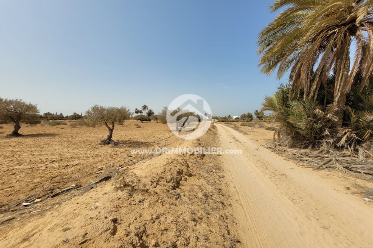 V495 -   Terrain Djerba