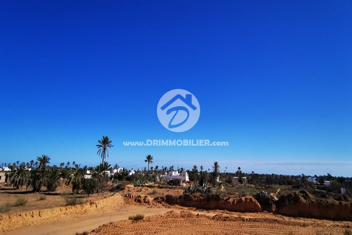 V506 -                            Sale
                           Terrain Djerba