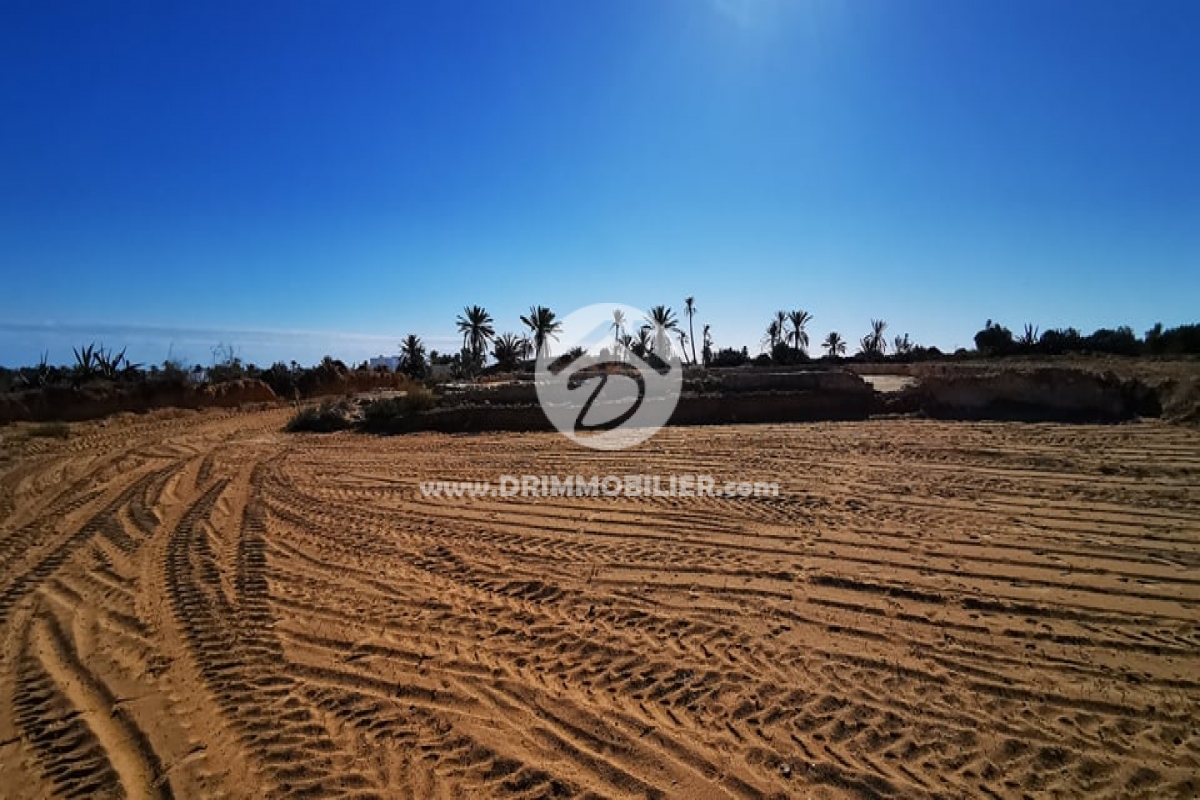 V506 -   Terrain Djerba