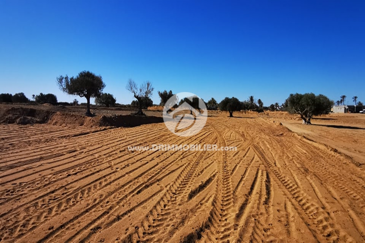 V506 -   Terrain Djerba