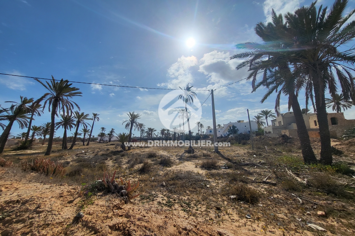 V514 -                            Koupit
                           Terrain Djerba