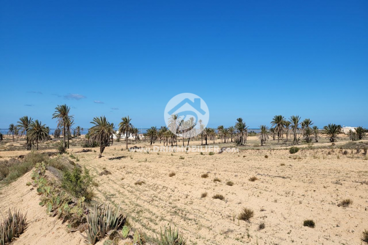 V537 -                            Sale
                           Terrain Djerba