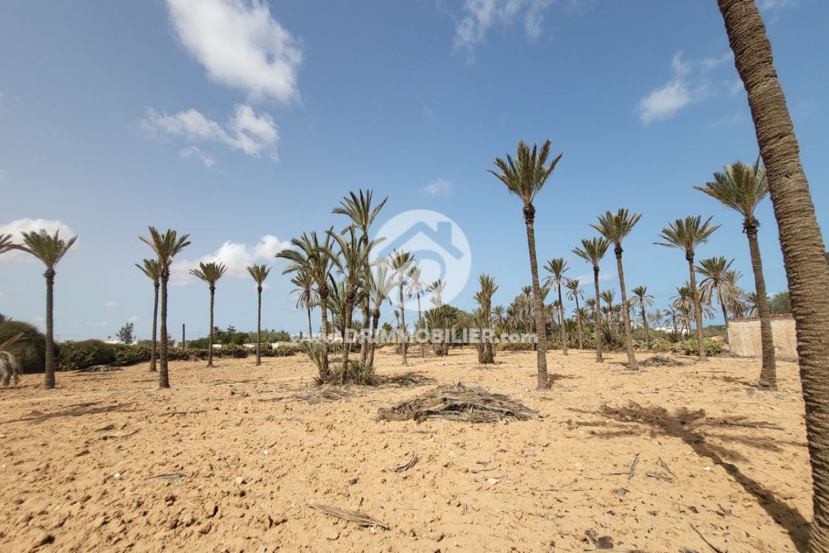 V552 -                            Vente
                           Terrain Djerba