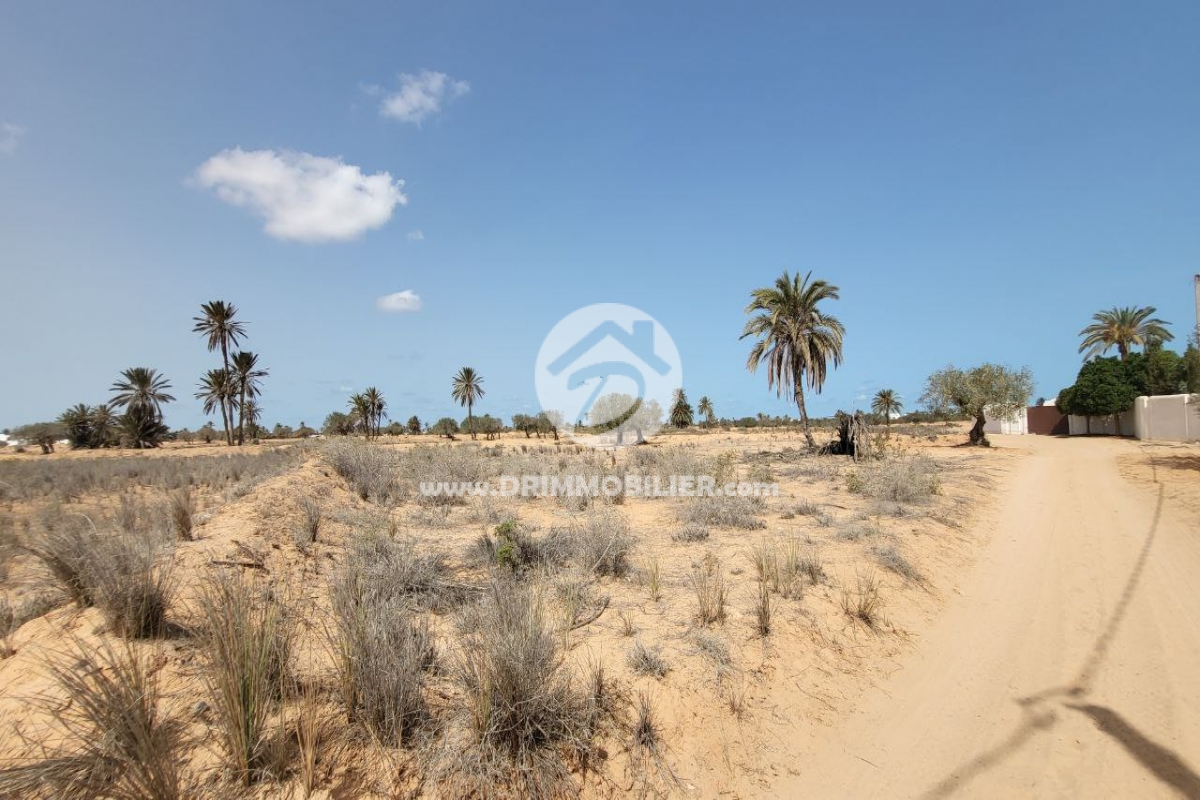 V553 -                            Sale
                           Terrain Djerba