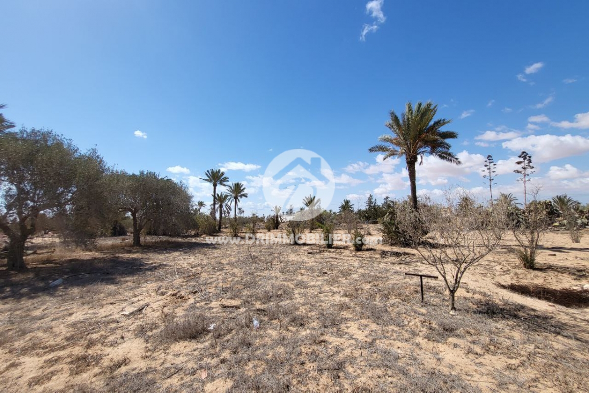 V555 -                            Sale
                           Terrain Djerba