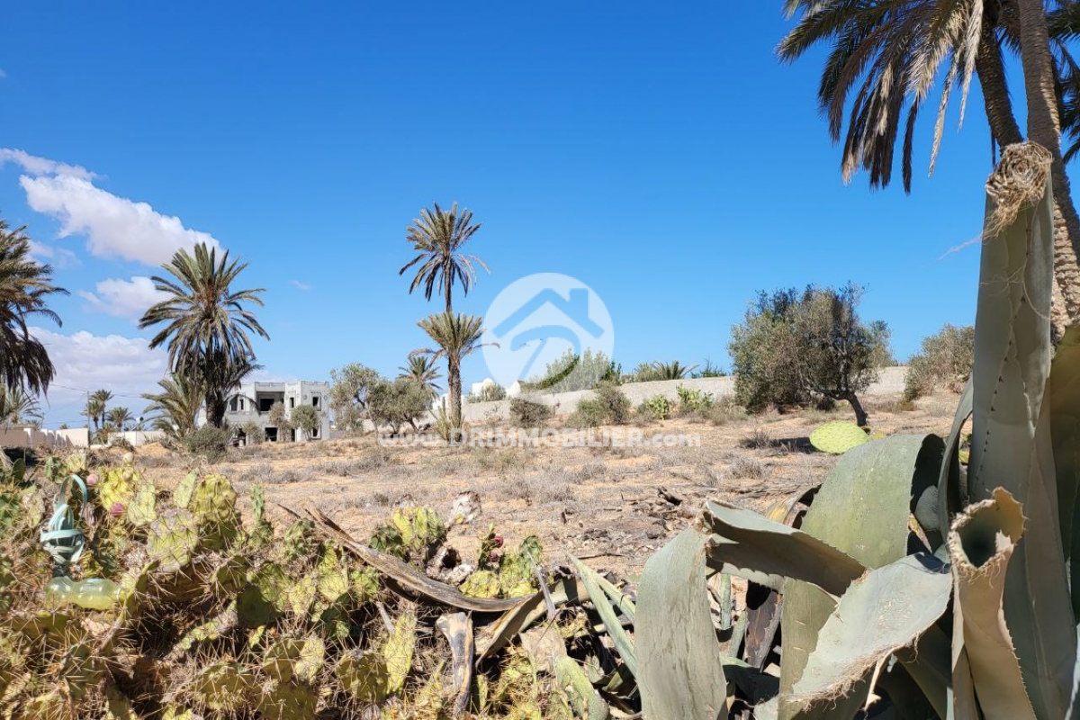 V558 -                            Vente
                           Terrain Djerba