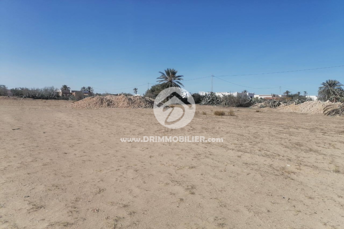 V584 -                            Sale
                           Terrain Djerba