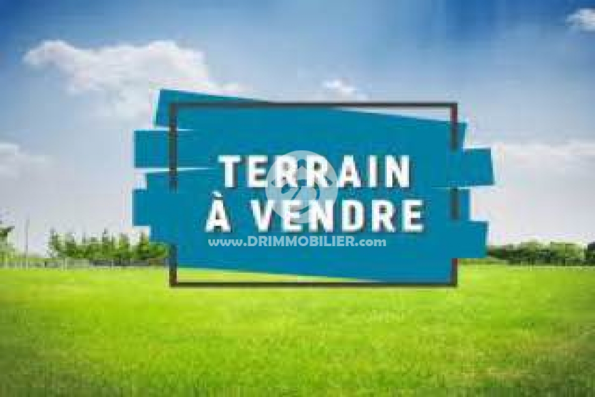 V587 -                            Vente
                           Terrain Djerba