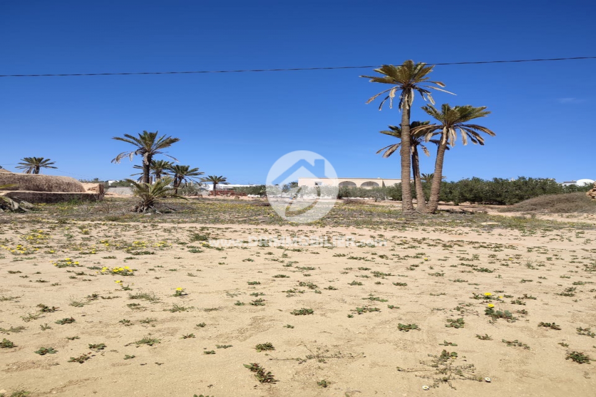 V597 -                            Vente
                           Terrain Djerba