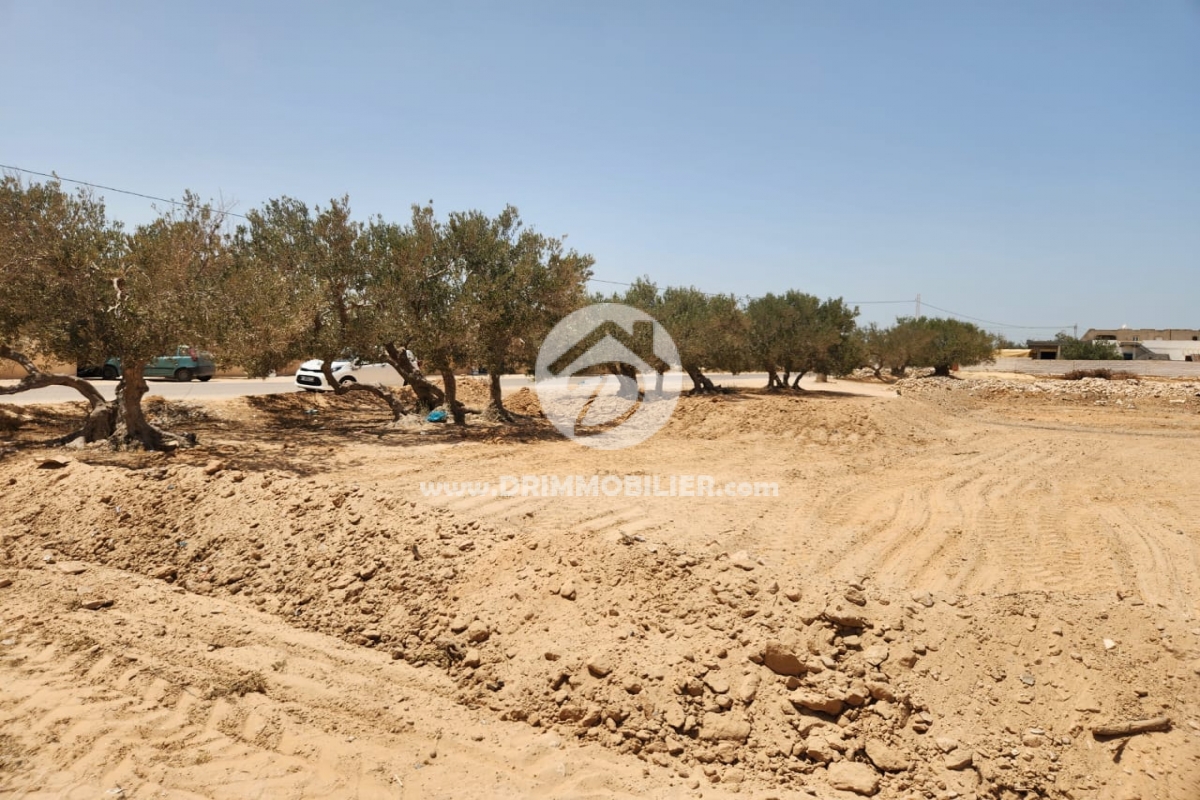 V618 -                            بيع
                           Terrain Djerba