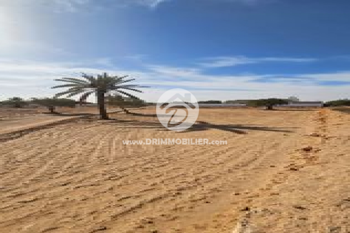 V620 -                            Sale
                           Terrain Djerba