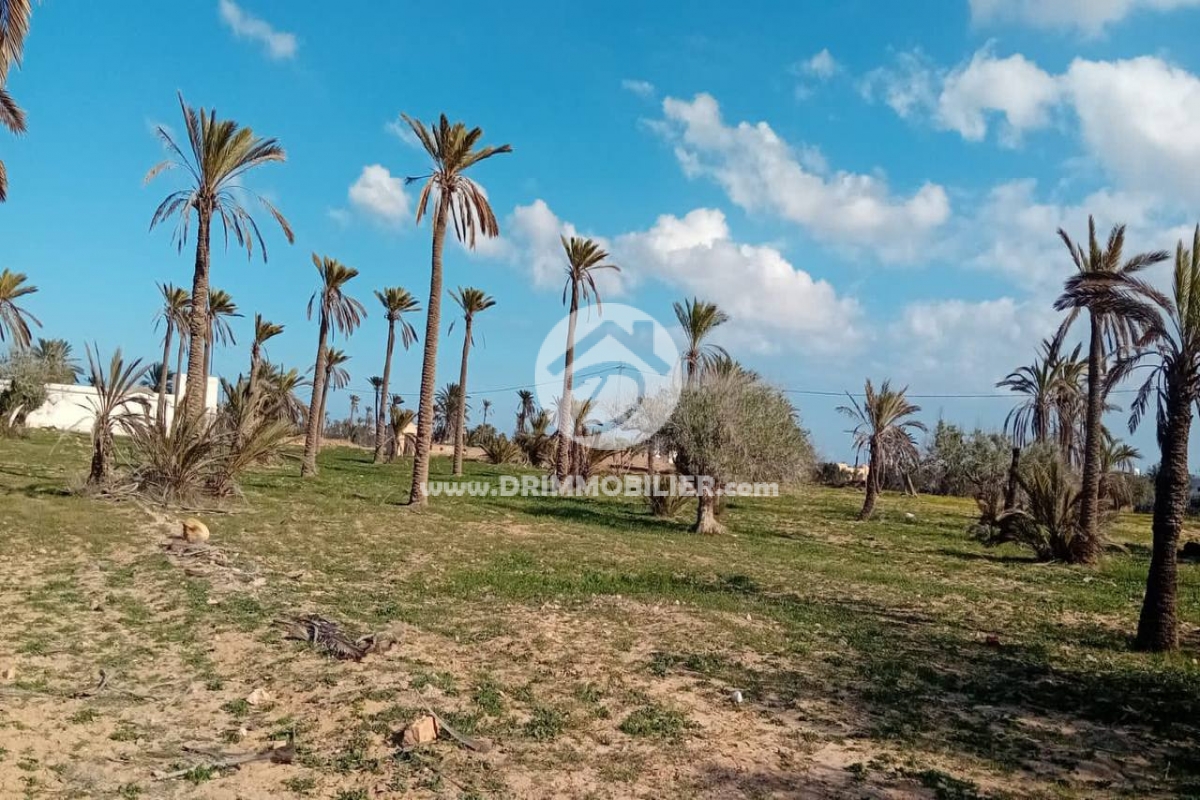 V636 -                            Vente
                           Terrain Djerba