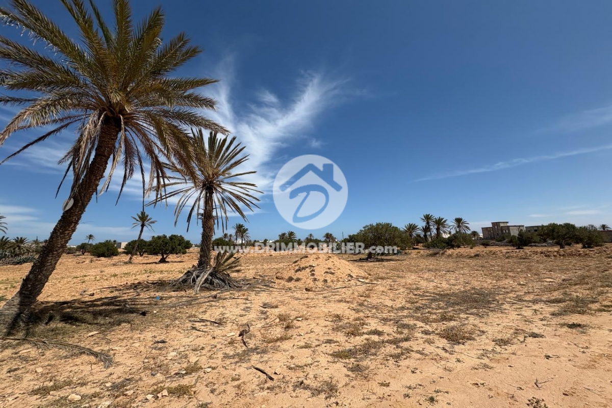 V685 -   Terrain Djerba