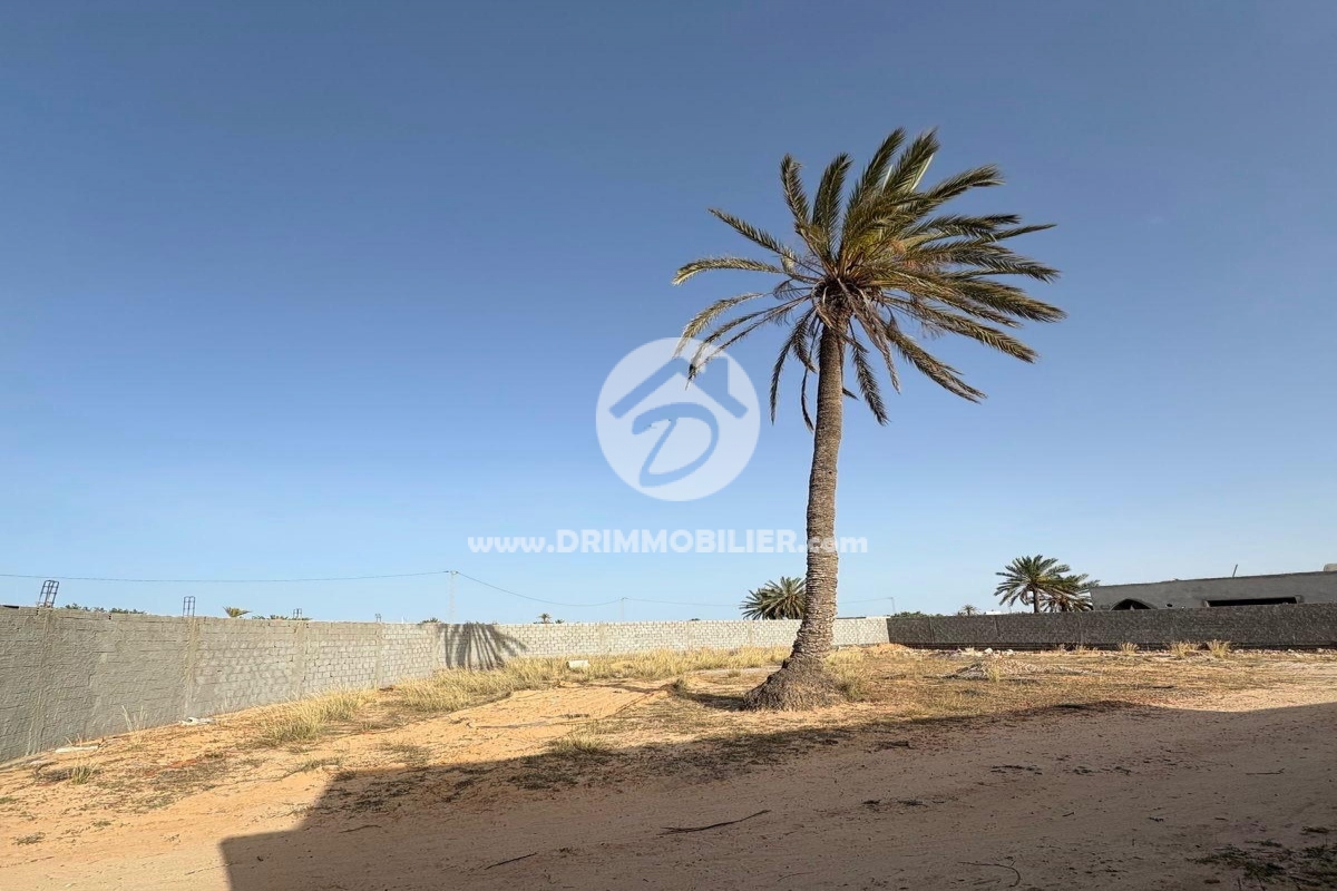 V687 -                            Vente
                           Terrain Djerba