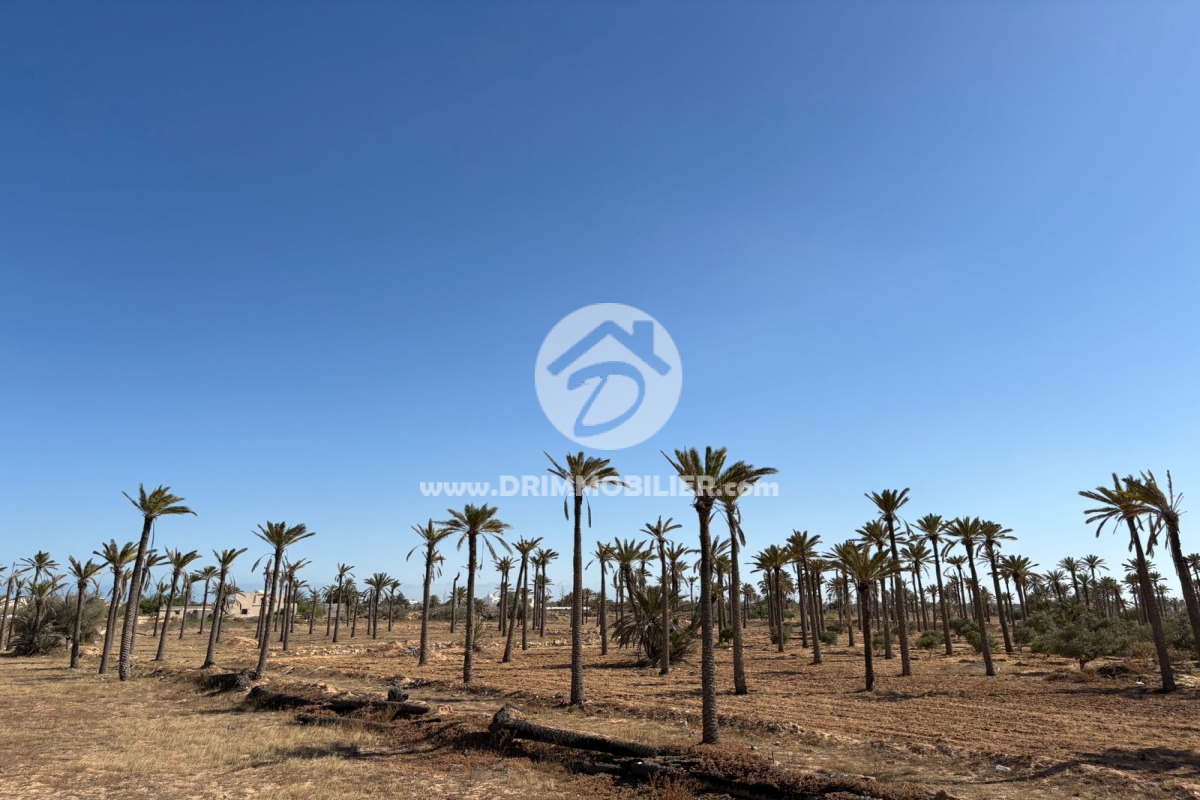 V692 -                            Sale
                           Terrain Djerba