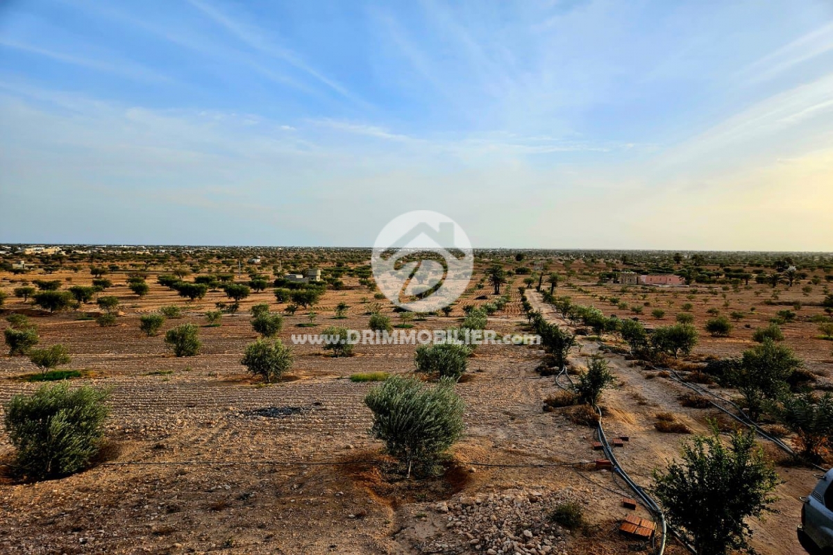 V693 -                            بيع
                           Terrain Djerba