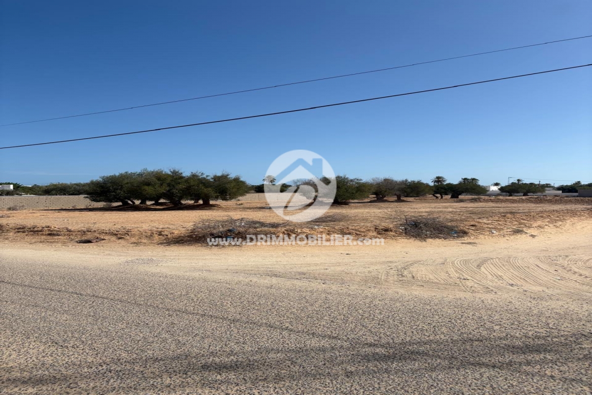 V708 -                            Sale
                           Terrain Djerba